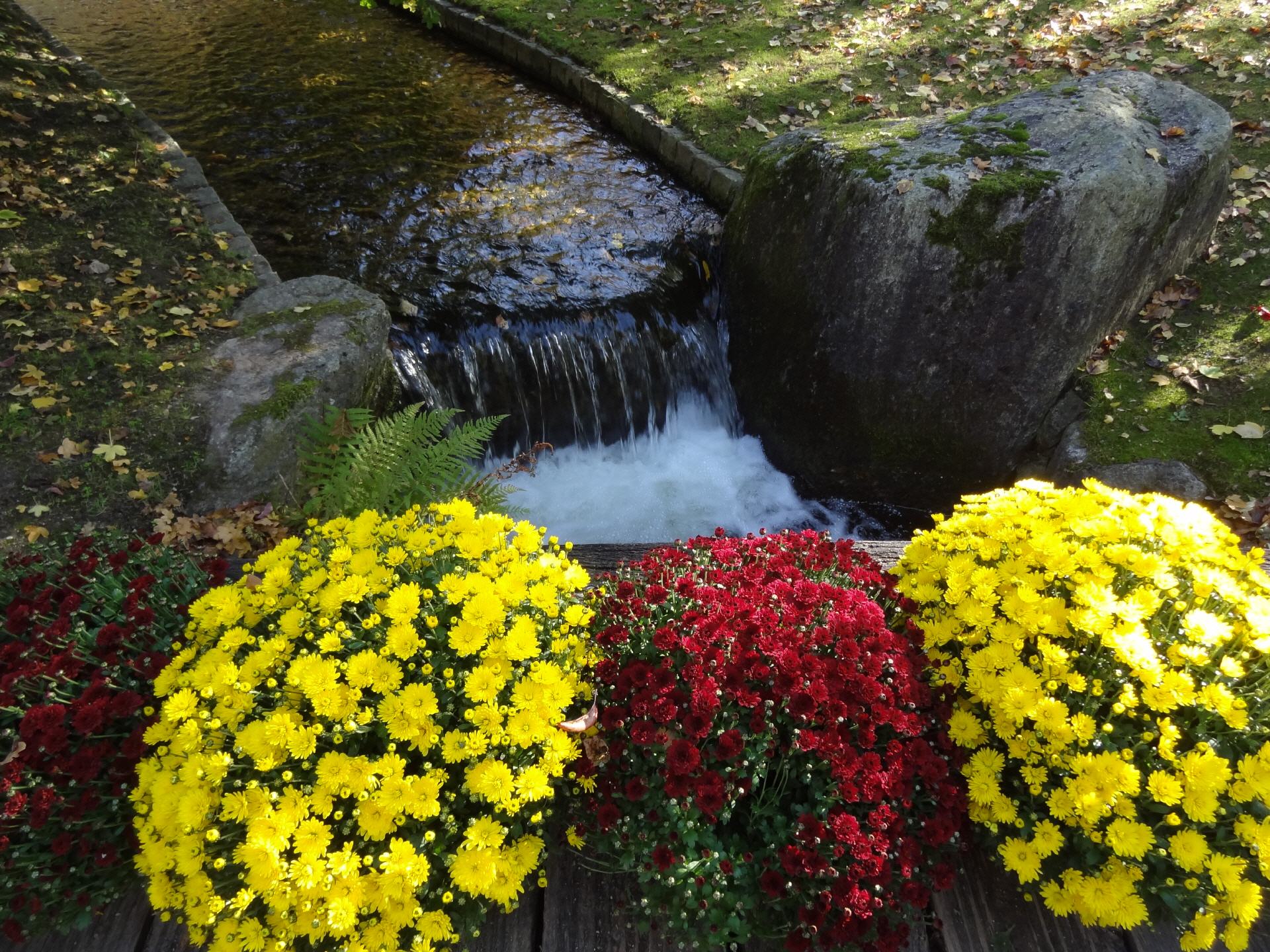 Japanischer Garten